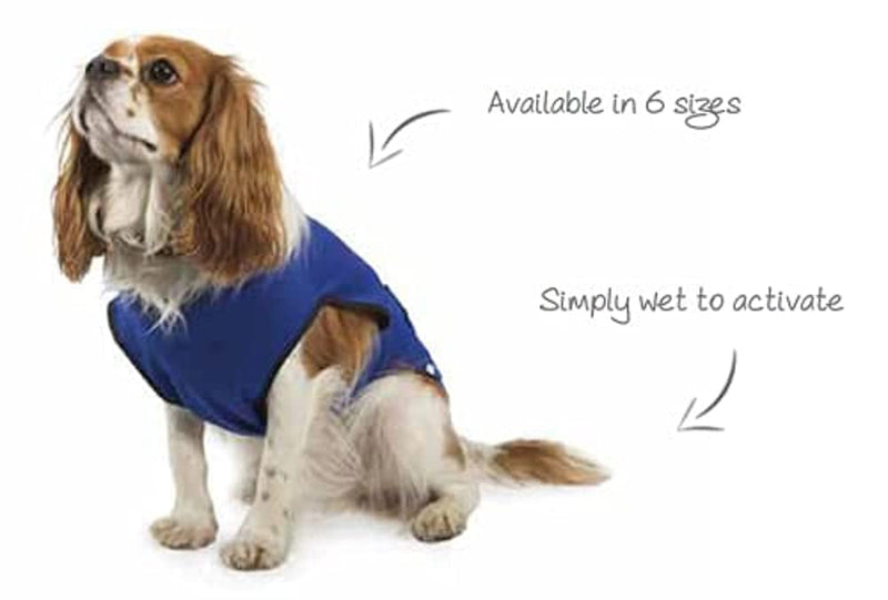 Ancol Pet Cooling Coat X-Small 25 cm XS - PawsPlanet Australia