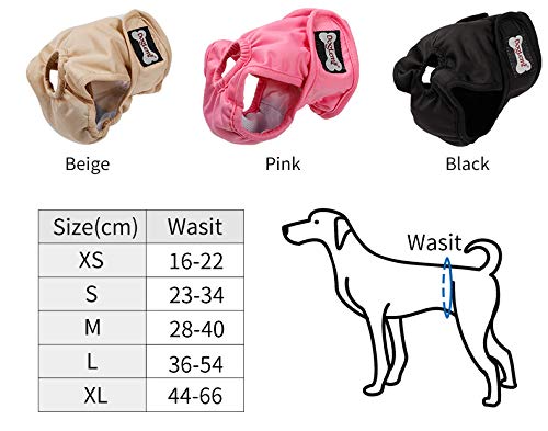 Doglemi Washable Diapers for Female Dogs [3-Pack], Hygienic & Sanitary Panties for Dogs in Heat, 5 Sizes Available from XS to XL for Every Female Dog (L: 36-54 cm) L (Waist 14.2"-21-3") - PawsPlanet Australia