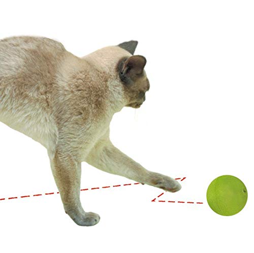 [Australia] - OurPets Zig-N-Zag Ball Cat Toy (Colors Vary) 