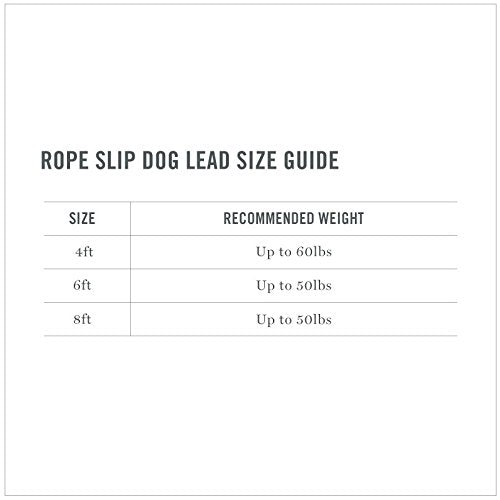 [Australia] - MARTHA STEWART Braided Rope & Leather Slip Lead for Dogs Tan 8' 