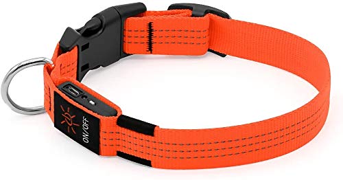 Iseen Led Dog Collar Illuminated Dog Collars Reflective Dog Collar Dog Lights for the Dark Dogs USB Rechargeable Adjustable Size Dog Collars for Puppy Dogs S Orange - PawsPlanet Australia