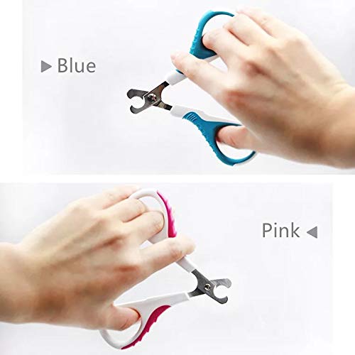 [Australia] - Professional Pet Nail Clippers for Small Animals - Best Cat Nail Clippers & Claw Trimmer Kit - Perfect Grooming Tool for Cat Small Medium Dog Bunny Rabbit Bird Puppy Kitten Ferret Blue Curved Blade 