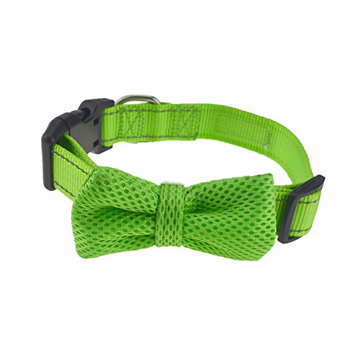 DEXDOG Bow Tie Dog Collar, Male Boy Puppy Accessory (Small, Green) S - PawsPlanet Australia