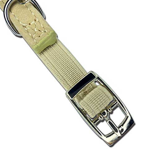 Chukchi Heart Bling Cat Collar with Safety Belt and Bell 8-11 Inches Beige - PawsPlanet Australia