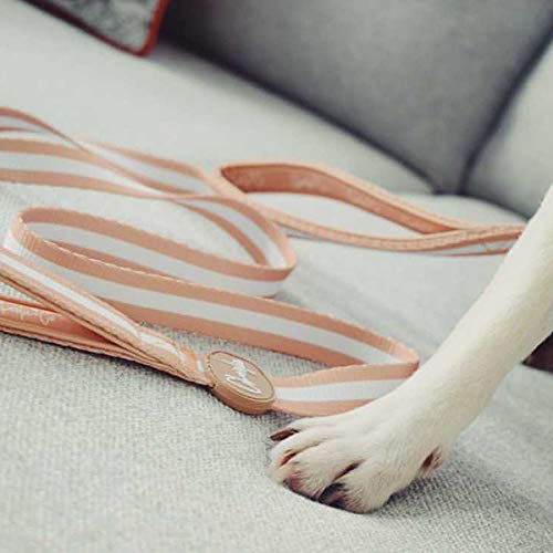 Charlie + Co Dog Lead with Comfortable Padded Neoprene Handles and Close Control Traffic Grip (5 FT / 150 cm) (Life's a Peach) Life's a Peach - PawsPlanet Australia