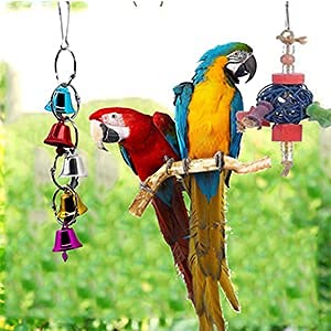 JIAYUE Bird Toys Parrot Chewing Toys, Bird Cage Accessories, Newly Upgraded Rope Bungee Bird Toys for Small Parakeets, Cockatiels, Finches, Budgie, Macaws, Parrots, Love Birds, Peony Cockatiel 9pcs - PawsPlanet Australia