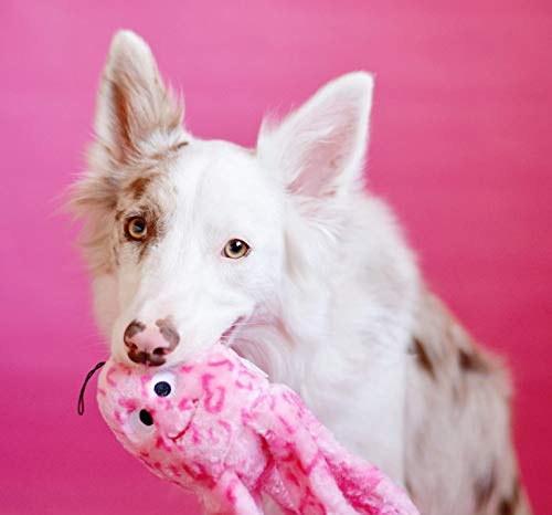 [Australia] - ZippyPaws - Floppy Jelly Squeaky Plush Dog Toy, Pink 