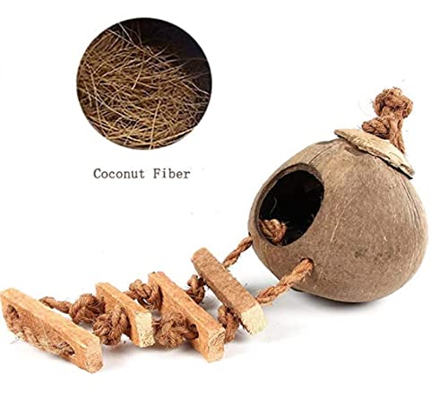 Tfwadmx Coconut Hide with Ladder, Natural Coconut Fiber Hanging Birdhouse Cage, Coconut Bird Shell Breeding Nest for Parrot Parakeet Lovebird Finch Canary (2 Pcs) 1PCS - PawsPlanet Australia