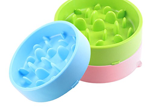 [Australia] - Kismaple Dog Slow Eating Feeder Bowl, Fun Foraging Anti Choking Anti Gobble Anti-Choke Interactive Feeding Slow Eating Bowls Non-Slip Green 