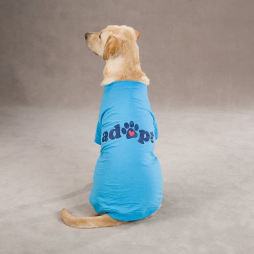 Casual Canine Polyester/Cotton Adopt Dog Tee, Medium, 16-Inch, Blue - PawsPlanet Australia