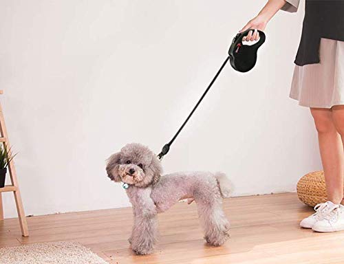 [Australia] - SENYE Retractable Dog Leash,16ft Dog Traction Rope for Large Medium Small Dogs,Break & Lock System Black 