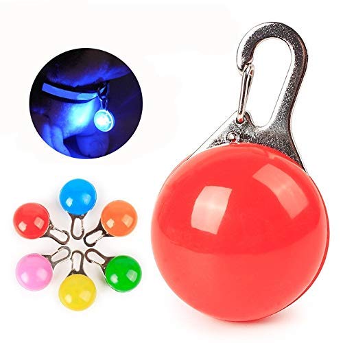 Pet Night Safety LED Flashlight Cat Dog Collar Leads Lights Glowing Pendant Necklace Pet Luminous Bright Glowing Collar in Dark - PawsPlanet Australia