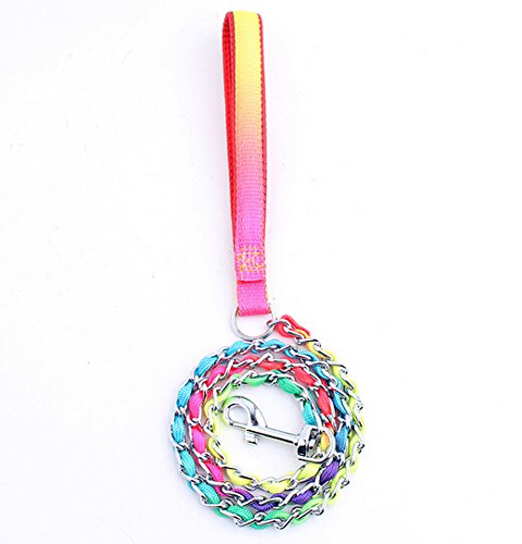 [Australia] - Dogs Kingdom Rainbow Steel Chain Dog Pet Walking Leashes Leads for Small/Large/Medium,3.3Ft Total Length M Multicolored 