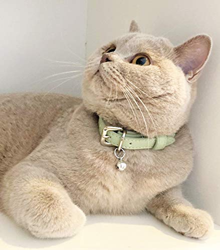 Animal Outfitters UK Purrfect Pastel Collection Faux Leather | Breakaway | Adjustable | Cat Collar | Kitten Collar (Mint Silver Bell) Cat collar with bell | Quick Release | Green Mint - PawsPlanet Australia