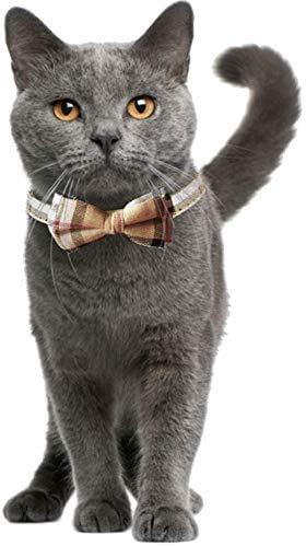 [Australia] - ORALBY Cat Collar Breakaway with Cute Bow Tie and Bell for Kitty and Some Puppies, Adjustable from 7.8-10.5 Inch 