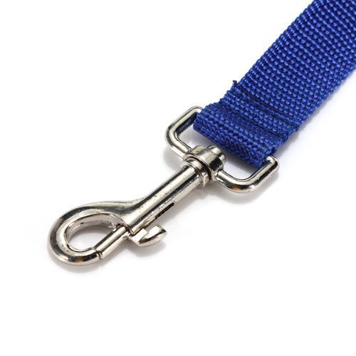 Hypeety Dog Puppy Pet Puppy Training Obedience Lead Leash Recall Strong Durable Nylon Lead or Walk Traction Rope (5Feet/1.5M, Blue) 5Feet/1.5M - PawsPlanet Australia