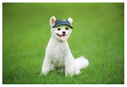 LESON Baseball Caps Hats with Neck Strap Adjustable Comfortable Ear Holes for Small Medium and Large Dogs in Ourdoor Sun Protection (M, Red) - PawsPlanet Australia