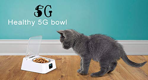No Plan B for Earth Cats and Dogs Feeder. Automatic opening and closing to avoid bad smell, pests, moisture food. - PawsPlanet Australia
