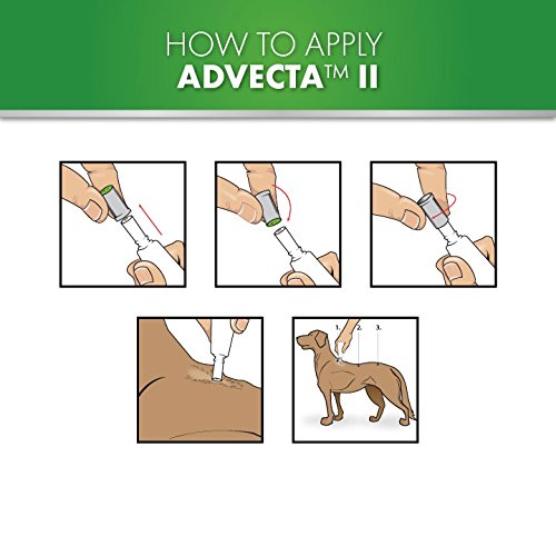 [Australia] - Advecta II Flea and Tick Topical Treatment, Flea and Tick Control for Dogs, 4 Month Supply Dogs 3-10 lbs 