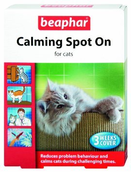 Beaphar Natural Effective Calming Spot On Cat Nervousness Fireworks Calmer - PawsPlanet Australia