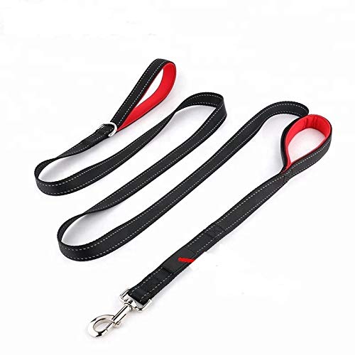 [Australia] - Toughy Duffy Dogs Double Handle 5 Foot Leash 