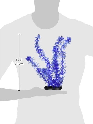 [Australia] - Marina Vibrascaper Hornwort Large Plant, 12-Inch 