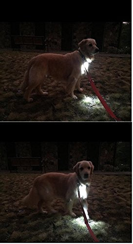 [Australia] - Dog Light, Dog Collar Light, Bubba's Leash Light - (NEW VERSION) 2 Per Pack - For Dog Walks & Backyard Monitoring. Attaches to Leash, Dog Collar, Harness. Great For Small & Large Dogs. (STEALTH BLACK) 