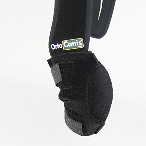 Ortocanis Elbow Protector for Dogs with osteoarthritis, Ligament Injuries, Arthritis and ED - Size M (Right Leg) M - right - PawsPlanet Australia