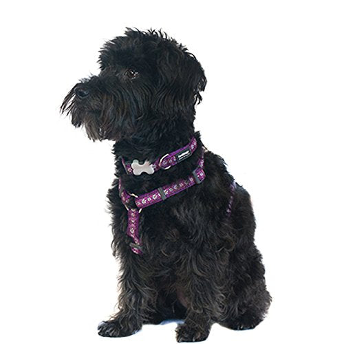 Red Dingo Dog Harness, 12 mm/ 30 - 44 cm/Neck Size 25 - 39 cm, X-Small, Daisy Chain Purple Extra Small - PawsPlanet Australia