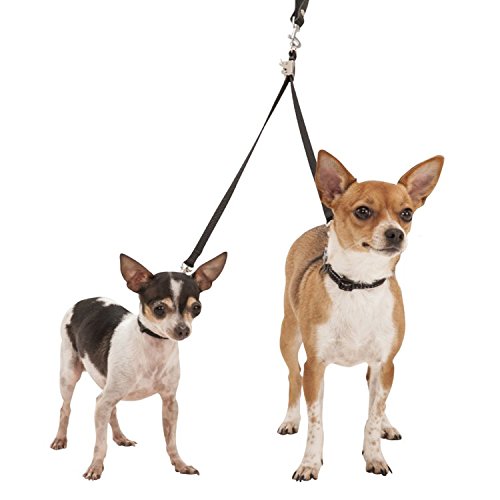 [Australia] - Double Dog Coupler – Fully Adjustable Strong Nylon Webbing, Dual Dog Training Leash Coupler for Two Dogs, Dog Lead Splitter Walker by Sporn X-Small Black 