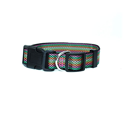 [Australia] - Kennel Club GKC Dog Collar Large Black 