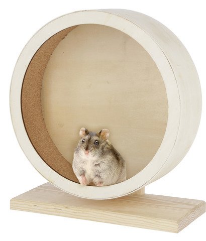 Kerbl Hamster Wood Wheel, Ø 29cm, Brown - PawsPlanet Australia