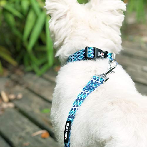 [Australia] - azuza Dog Collar and Leash Set, Fun Patterns, Adjustable Nylon Collar with Matching Leash for Small Medium and Large Dogs S (Neck: 11"-16") Diamond Blue 