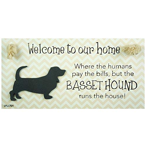 PRECIOUS PETS DOG PLAQUE AND DOG LEAD HOOK PACK, BASSET HOUND, FUNNY SIGNS, DOG MUM GIFTS, DOG ACCESSORIES, HOUSE STUFF. - PawsPlanet Australia