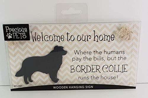 PRECIOUS PETS DOG PLAQUE AND DOG LEAD HOOK PACK, BORDER COLLIE, FUNNY SIGNS, DOG MUM GIFTS, DOG ACCESSORIES, HOUSE STUFF. - PawsPlanet Australia