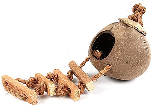 Hanging Bird House with Ladder,Natural Coconut Fiber Shell Bird Nest Breeding for Parrot Parakeet Lovebird Finch Canary,Coconut Hide Bird Swing Toys for Hamster,Bird Cage Accessories,Pet Bird Supplies - PawsPlanet Australia