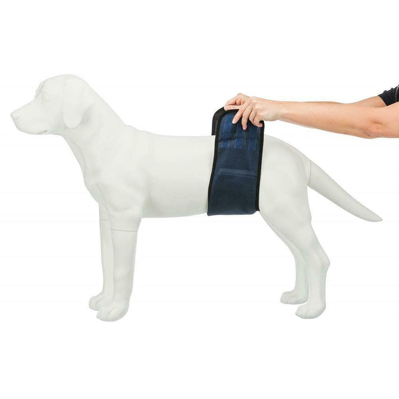 Trixie belly band for male dogs, L: 55-65 cm - PawsPlanet Australia