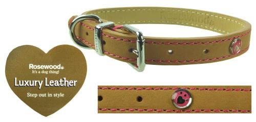 "Luxury Leather Collar Tan 3/4"" X 14-18""", clear - PawsPlanet Australia