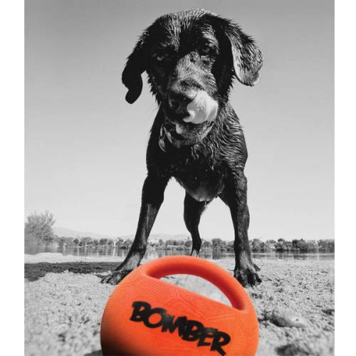 Zeus Bomber Dog Toy, 15 cm - PawsPlanet Australia