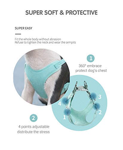 Xqpetlihai Step-in Air Dog Harness Reflective Dog Vest Harness with Leash Breathable and Adjustable Soft Padded Dog Vest with Easy Control Handle for Small to Large Dogs （Lake Blue M） Medium Lake Blue - PawsPlanet Australia