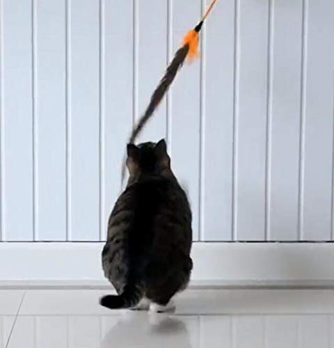 [Australia] - CatYou 3PCS Cat Feather Toys with Bell, 24.2" Long Cat Feather Interactive Sticks 