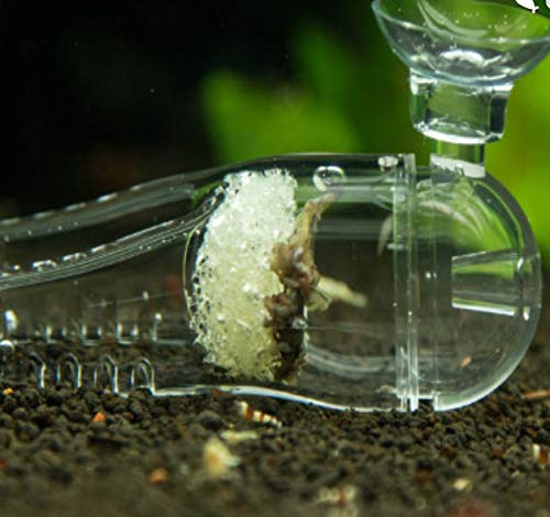 [Australia] - MiguCo Acrylic Aquarium Feeder Planaria Leech Trap Turbellarian Worm Catcher 