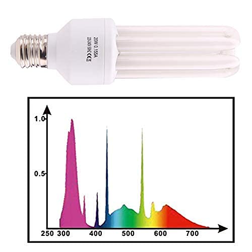 AIICIOO Birds UVB Lamp Light Kit- Cage Lighting Bulb 2.4% uvb Output for Parrots Chicks E27 Screw 20W - PawsPlanet Australia