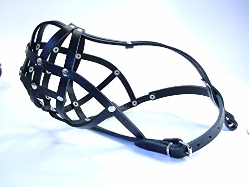 L&J Pets Uk New Light leather Dog Muzzle for Boxer and Other dogs with short snout (Black Leather, B1) (B1-4) Black Leather - PawsPlanet Australia