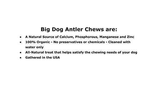 [Australia] - Big Dog Antler Chews Brand - XL Deer Antler Dog Chew - Extra Large, Jumbo, for Large Dogs and Puppies Who are Aggressive Chewers 