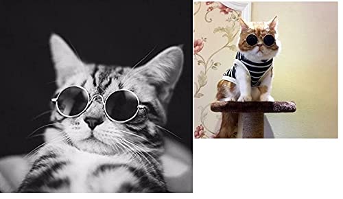 TopE Pet Glasses,Stock Show Funny Cute Dog Cat Retro Fashion Sunglasses Glasses Transparent Eye-wear Protection Puppy Cat,Pet Photos Props for Small/Medium Pet (Gold+Black, Small) Gold+Black S - PawsPlanet Australia