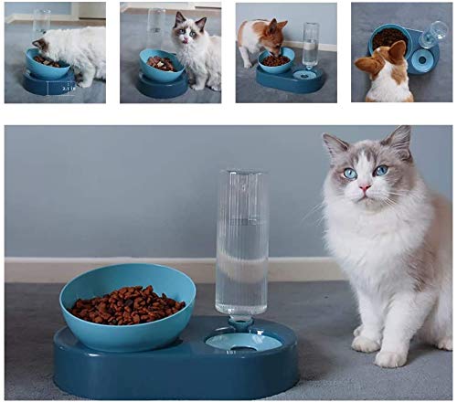 CHANG Cat feeder ,2 in 1 Automatic Cat Water Dispenser and Food Bowl Set, Raised Puppy Cat Feeding Bowls Tilted Cat Bowls with Stand, Food Bowls for Small Dogs Kitten - PawsPlanet Australia