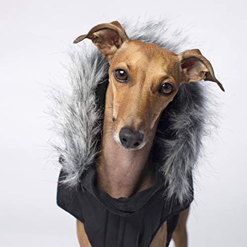 [Australia] - Canada Pooch | Everest Explorer Dog Jacket | Hooded Winter Dog Coat, Black, 12 (11-13" Back Length) 