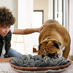 TOTARK Pet Snuffle Mat for Dogs, Dog Puzzle Toys Pet Snuffle Feeding Mat Interactive Game for Boredom, Durable Dog Sniffing Mat Soft Pet Nose Work Encourages Natural Foraging Skills for Dogs Gray - PawsPlanet Australia