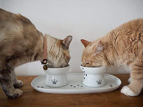 [Australia] - Necoichi Dining Cat Food Tray Double 